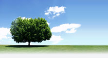 Masthead